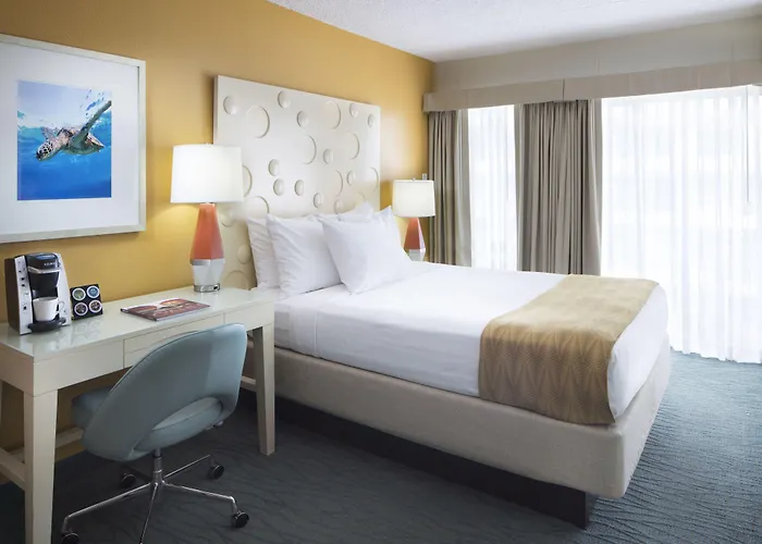 Lodging Coconut Waikiki